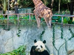 -深圳野生动物园