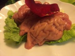 脑花-蜀九香火锅(彩虹店)