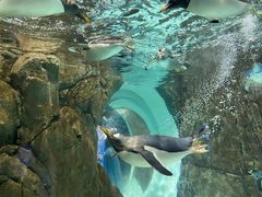 -成都浩海立方海洋公园