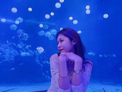 -烟台海昌鲸鲨海洋公园