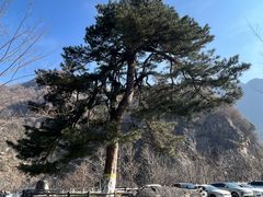 -秦岭终南山世界地质公园翠华山景区