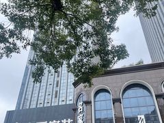 -点石家装(总部旗舰店)