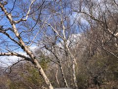 -白草畔自然风景区