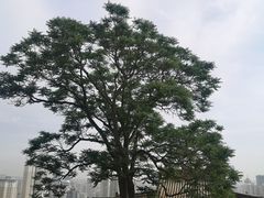 -五泉山公园