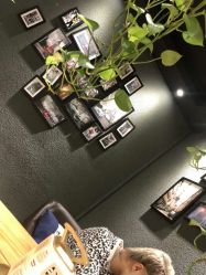 点击看大图 -藤野造型