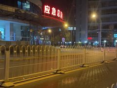 -玫瑰红烤羊排(北新桥三条店)