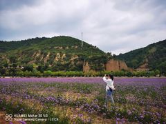 -南泥湾风景区