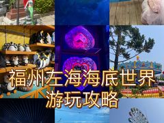 -左海海底世界