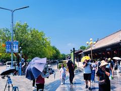 -大槐树寻根祭祖园