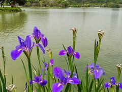 -顺峰山公园