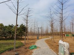 -东郊湿地公园