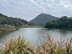 -广州市石门国家森林公园