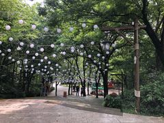 -天目湖山水园