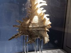 -中国湿地博物馆