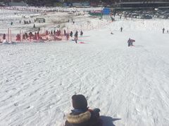 -太子岭滑雪场