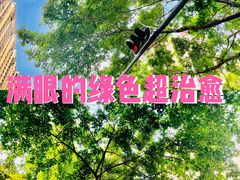 -青青世界
