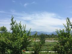 -洨河生态公园