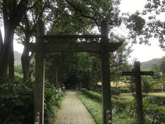 -白马涧龙池景区