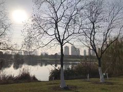 -九里河湿地公园