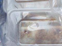 -金杨老摊头蛋饼(金口路店)
