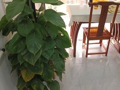 -琴书和韵(上南馆旗舰店)