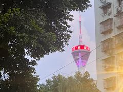 -成都市活水公园