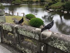 -水前寺成趣园