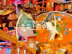 -亮欢寨酸汤鱼(沙冲路店)