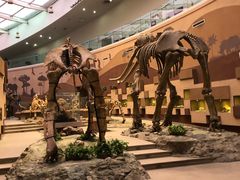 -陕西自然博物馆