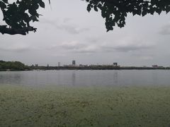 -长春市南湖公园