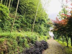 -衢州大荫山丛林飞越探险乐园