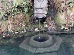 -十八棵（老龙井）御茶园(老龙井店)