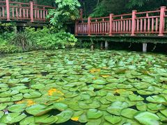 -桃花岛风景旅游区