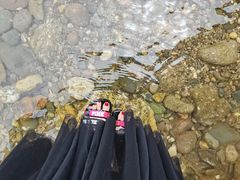 -印象小院•团建•玩水•休闲