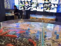 -田园肥牛鲍鱼先生(新北店)