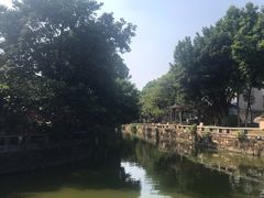 门口的水乡景观-贞姨芝麻糊