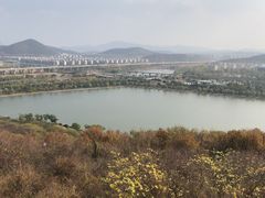 -羊山湖公园