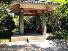-玉树公园