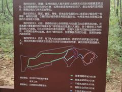 -云岗森林公园