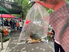 -宝鸡东道花鸟鱼虫市场(吉利花园商场店)