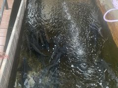 -山里人家