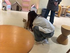 -藏猫猫咖啡主题馆(中央大道店)