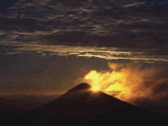 -西涌国际滨海旅游区