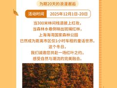 -上海海湾国家森林公园