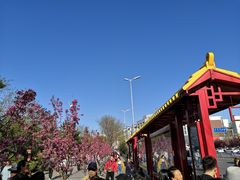 -蠔友汇(皇姑店)