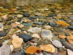 -黑河国家森林公园