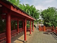 -大渡口区义渡公园