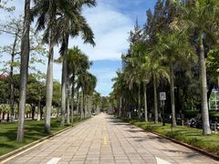 -厦门大学(思明校区)