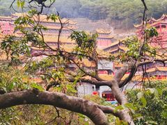 -东莞观音山旅游风景区
