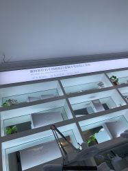 点击看大图 -蕾特恩专业祛痘国际连锁